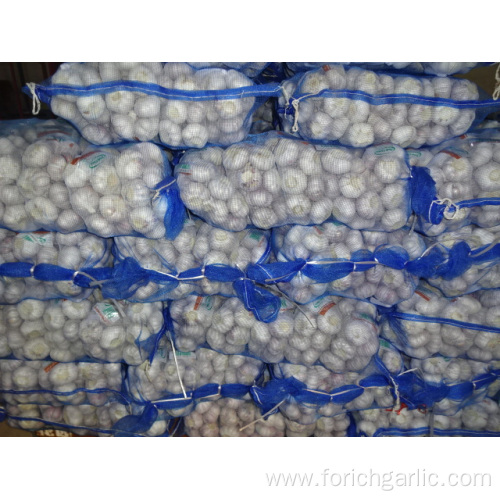 High Quality Fresh Normal White Garlic